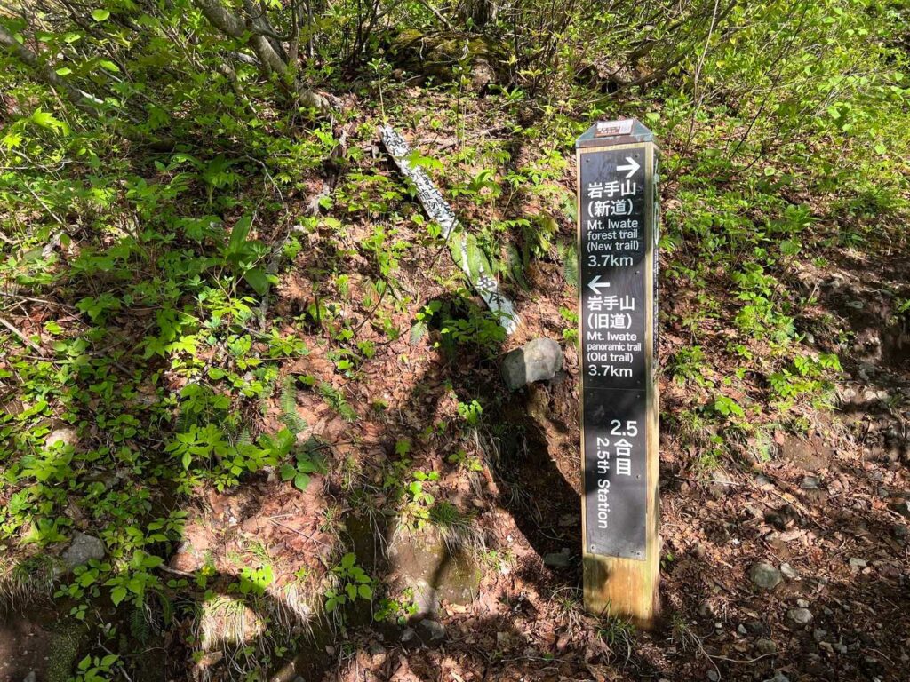 旧道への分岐点