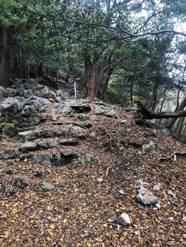 登山道は整備されていますね