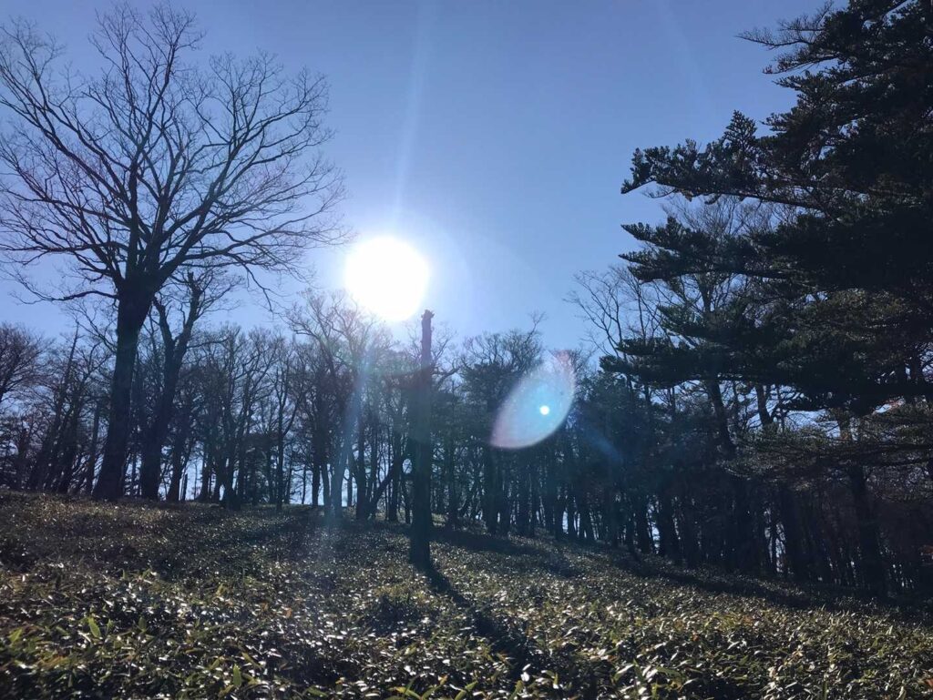 太陽を浴びながらの帰り道