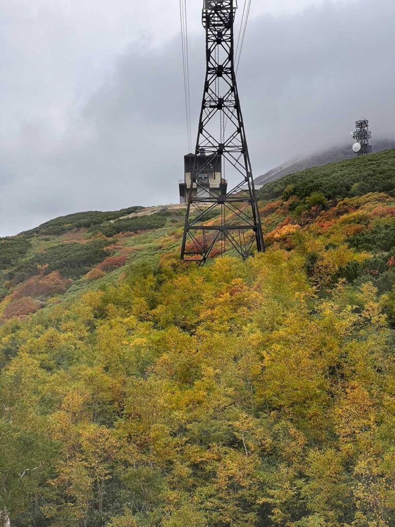 ロープウェイから見た秋色の山肌