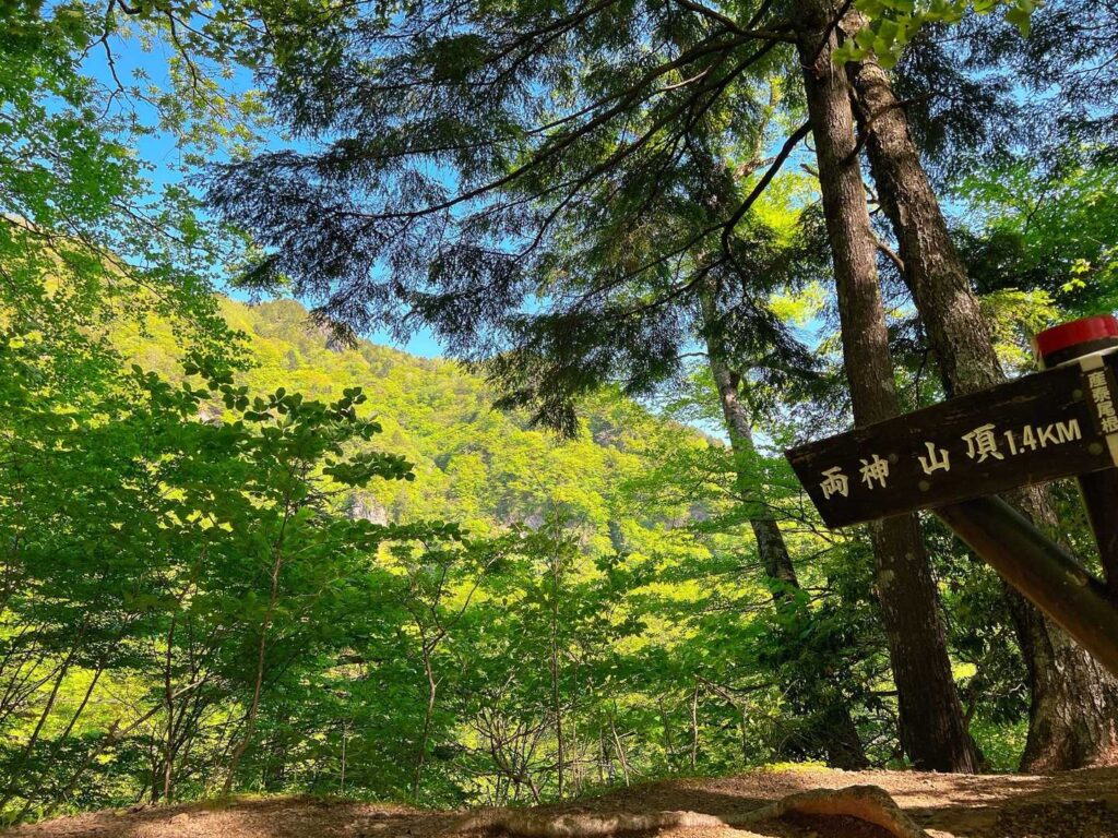 木陰が続く登山道