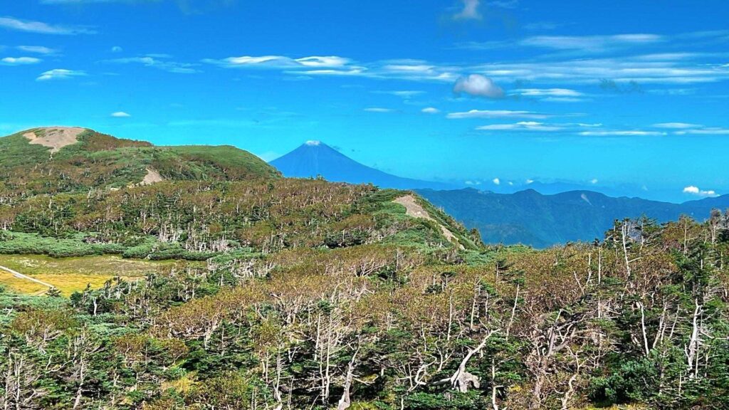 小屋から見える富士山