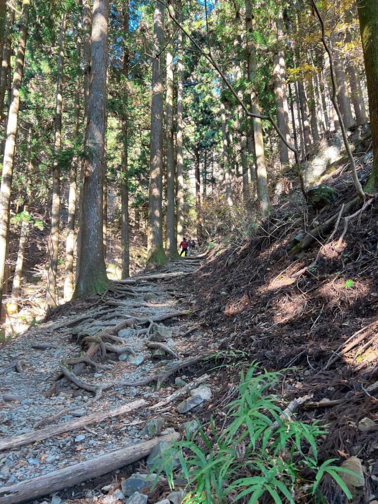 まずは 山道をひたすら登り