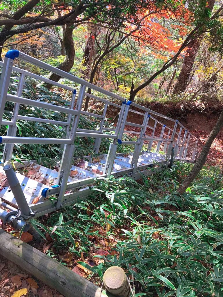 ブヨンブヨンしてアスレチックみたいな道