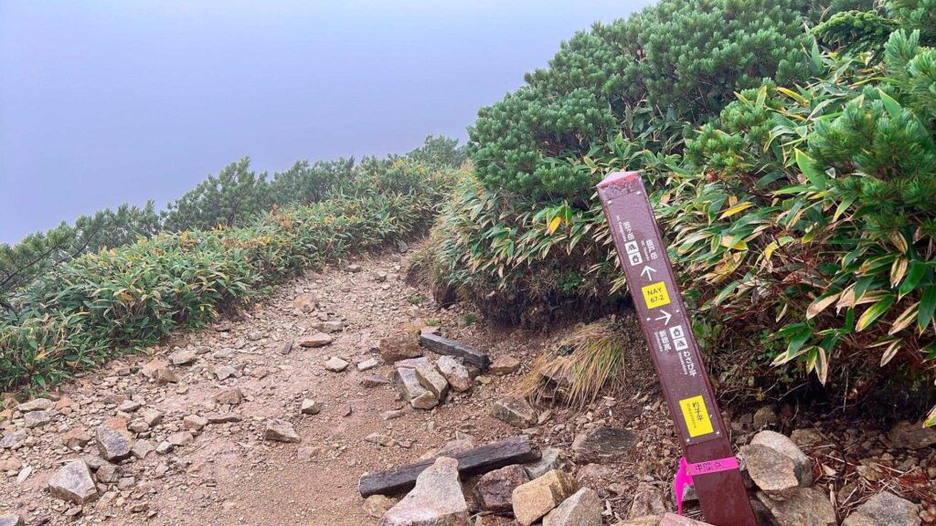 ゴーロ帯の岩場