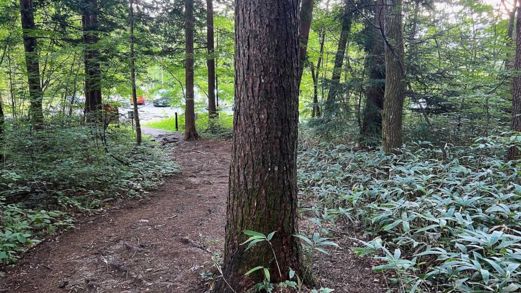 やっと駐車場が見えた