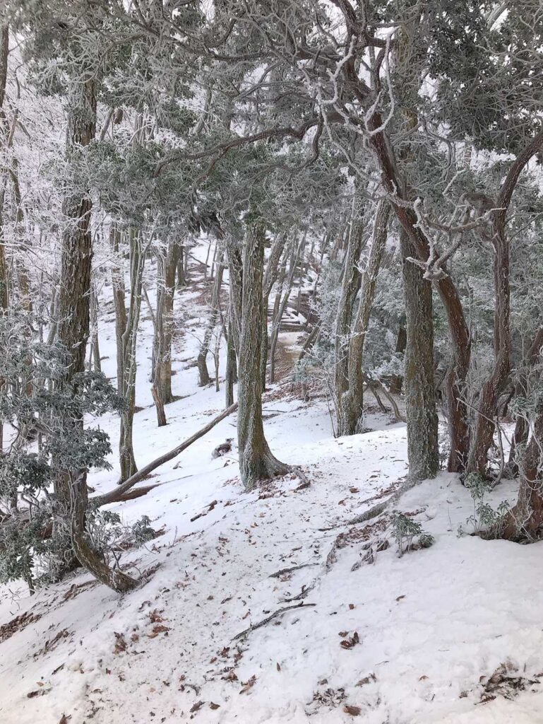霧氷に囲まれてテンション爆上がり