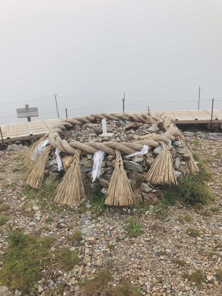 ポチは今回お預けで💦