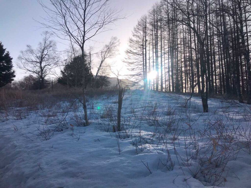 太陽の光が雪面にキラキラ反射
