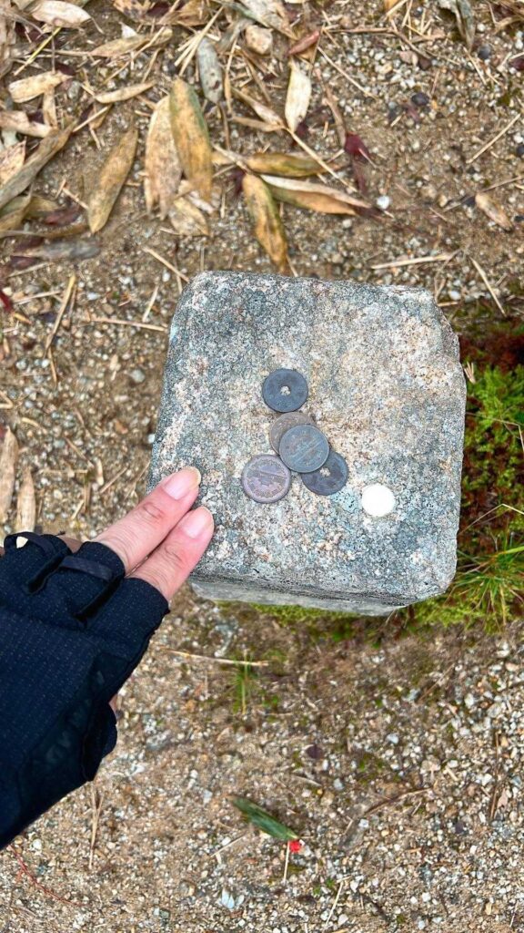 平ヶ岳の三角点