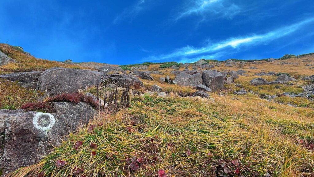 弓折岳方面の稜線が見えた