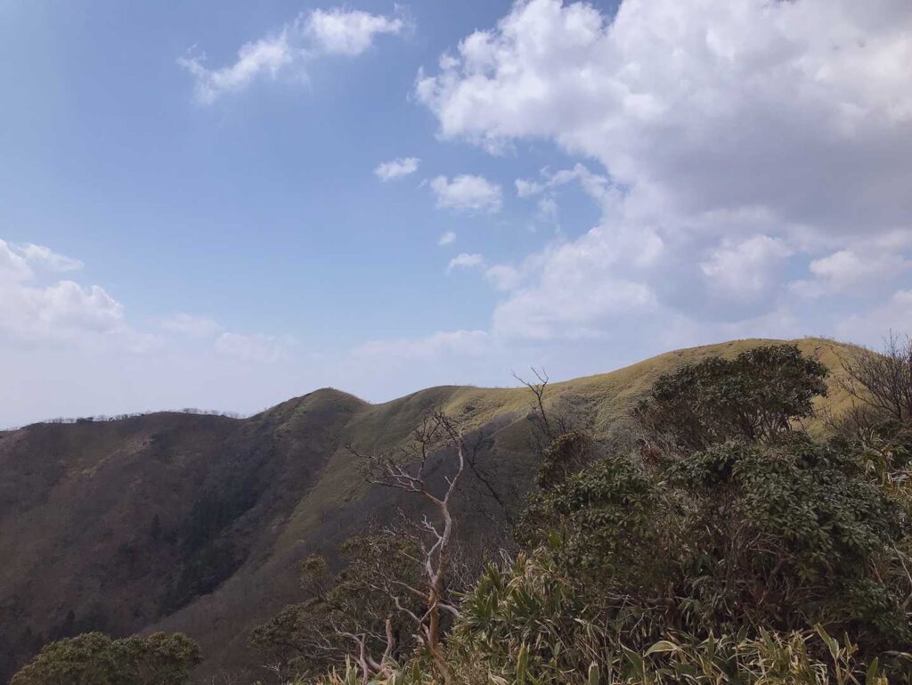 綺麗っす