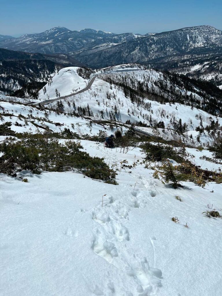 雪が溶けて不明瞭な下山路
