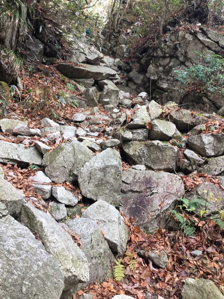 岩岩岩 ピョンピョン🐰 / 良い子はマネしないでねっ‼️