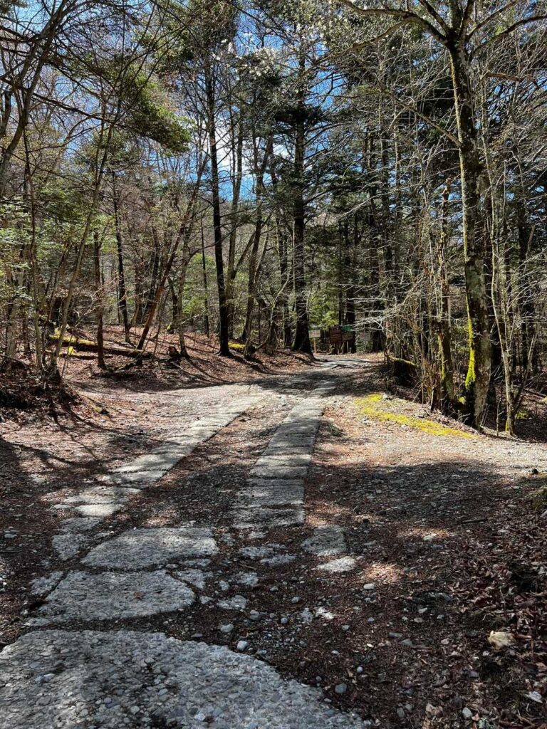 そして ずっとこんな感じて 道迷いナッシング😆