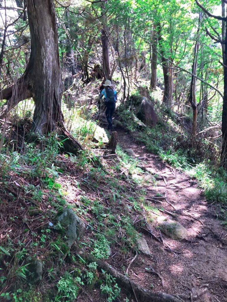 序盤の登山道