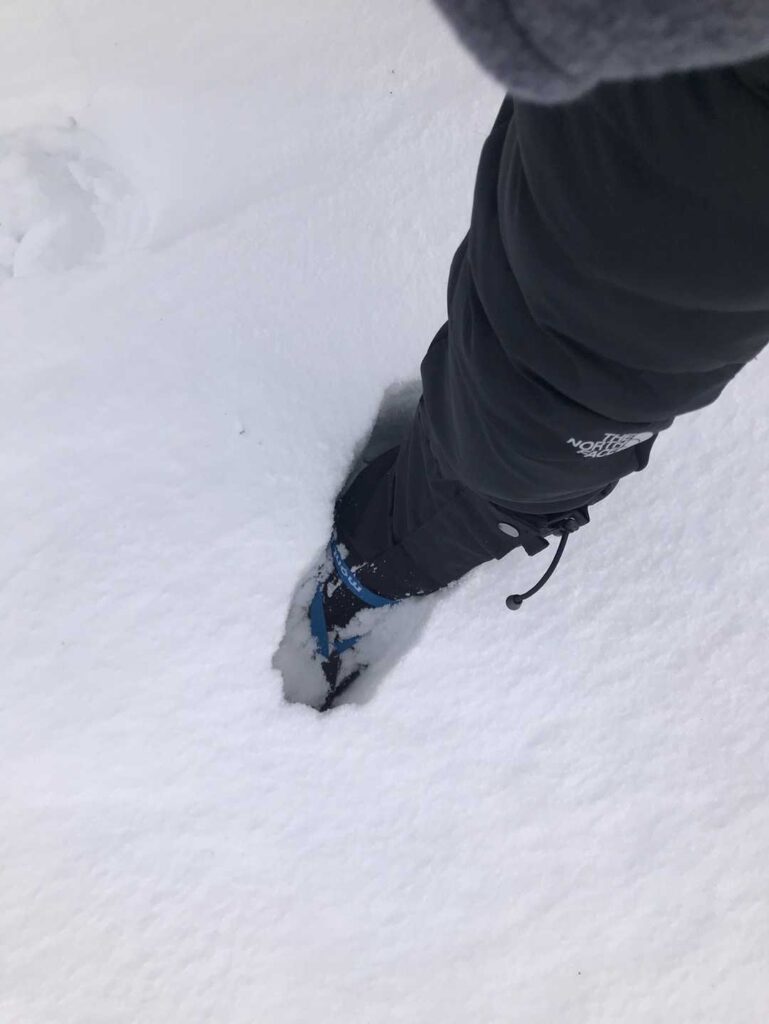 ズボッっと遊んだりして