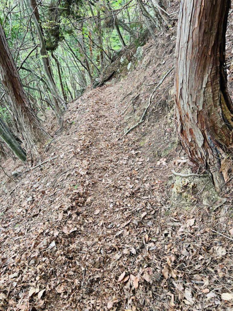 少し落ち葉で滑りやすいとこもあり