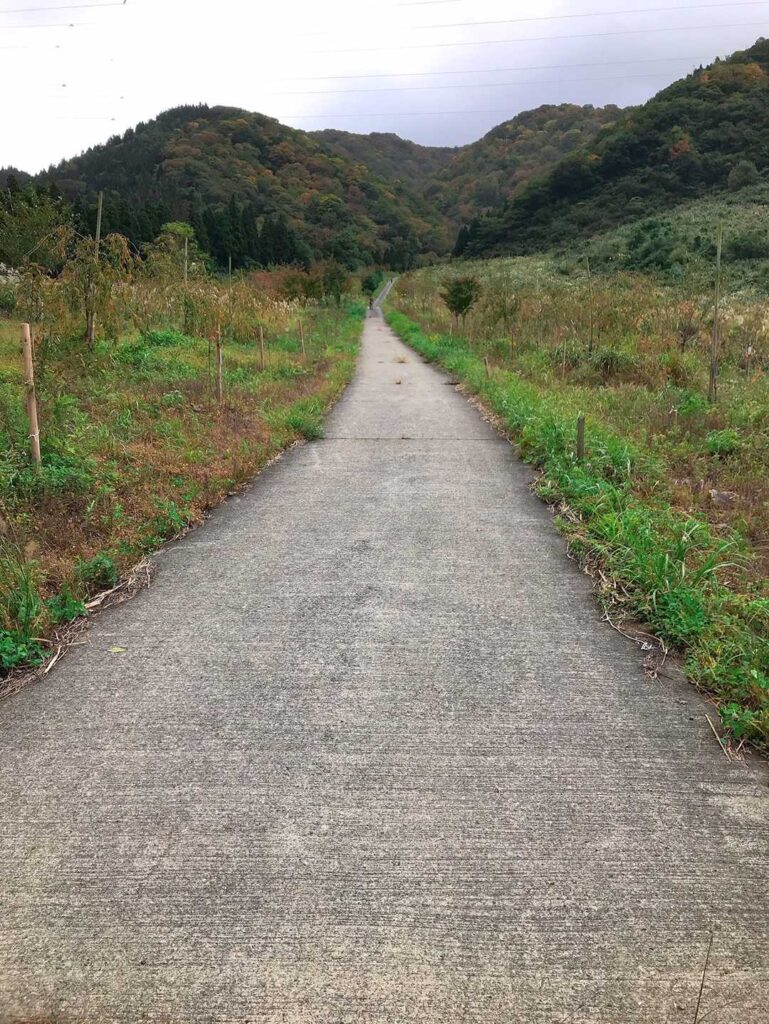 ゲレンデ跡の長い下り