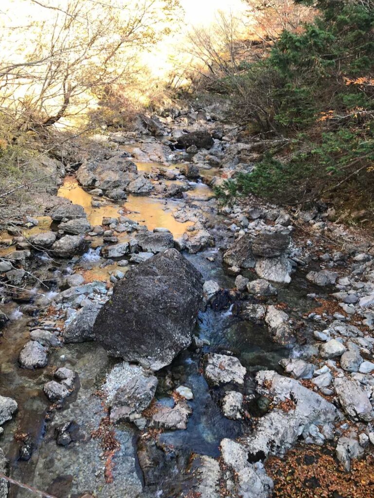 透き通った川の水