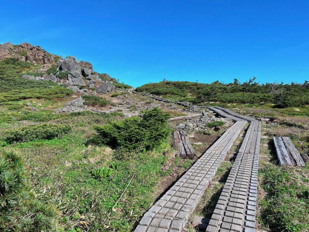 山頂へ続く木道