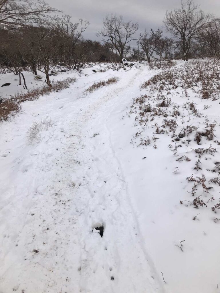 雪道を下っていきます