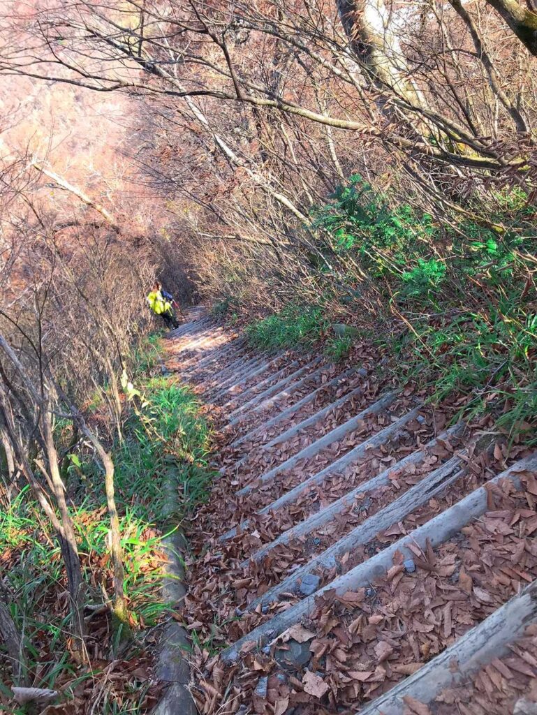 行者コースの階段を下る