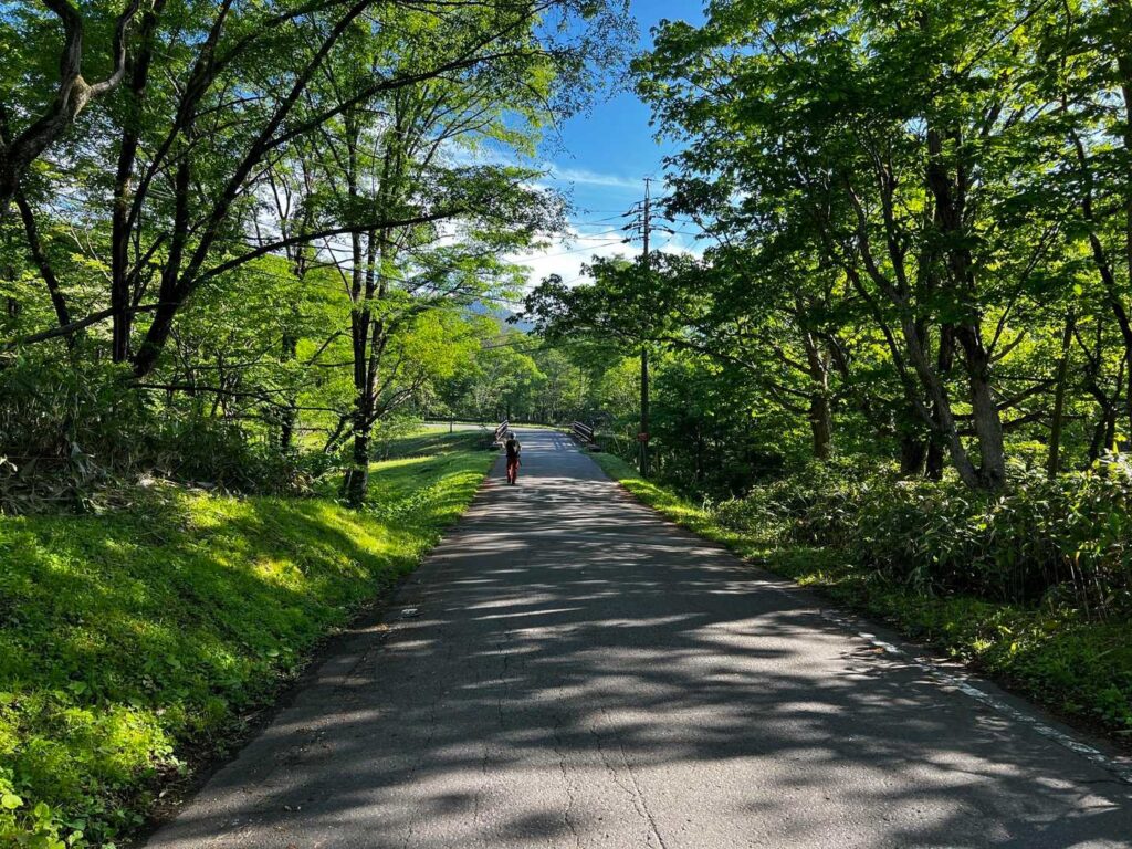 舗装道を歩いて登山口へ向かう