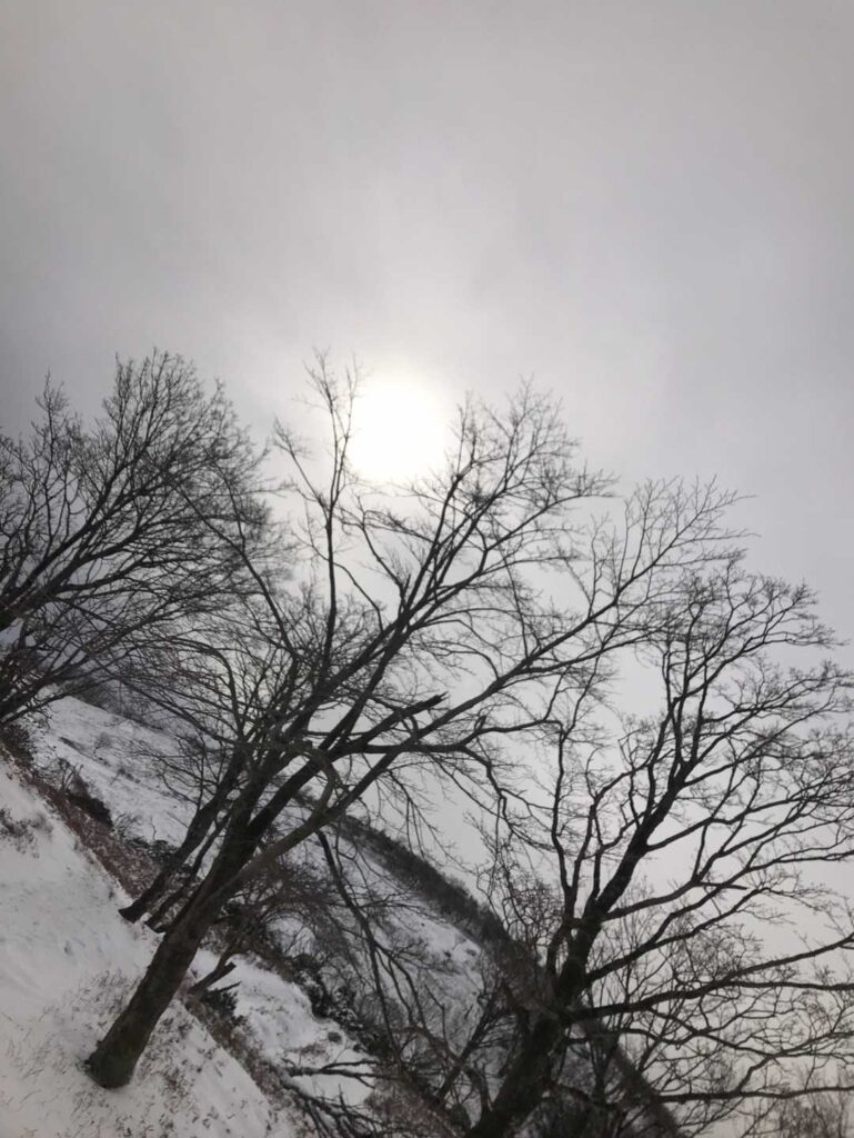 冬って感じの天気