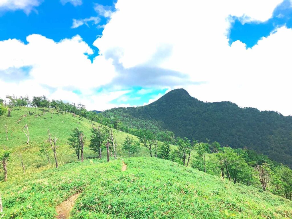 稜線上の登山道