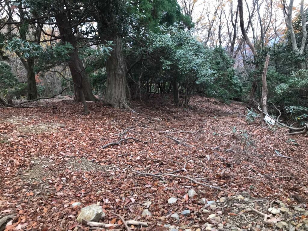 辺り一面落ち葉で冬の到来を感じる