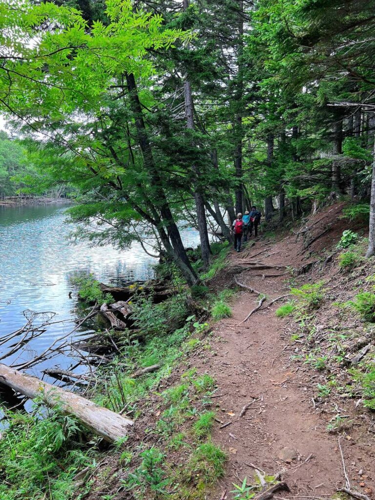 舗装道じゃなくて山道だった