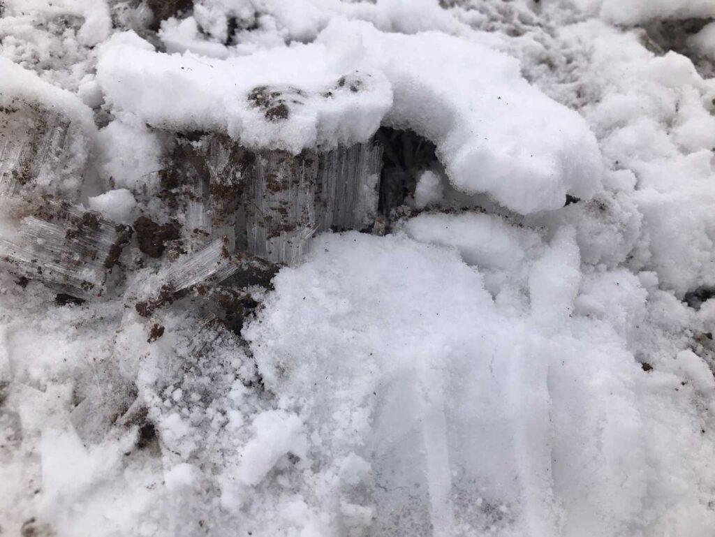 自然の力を感じるなぁー