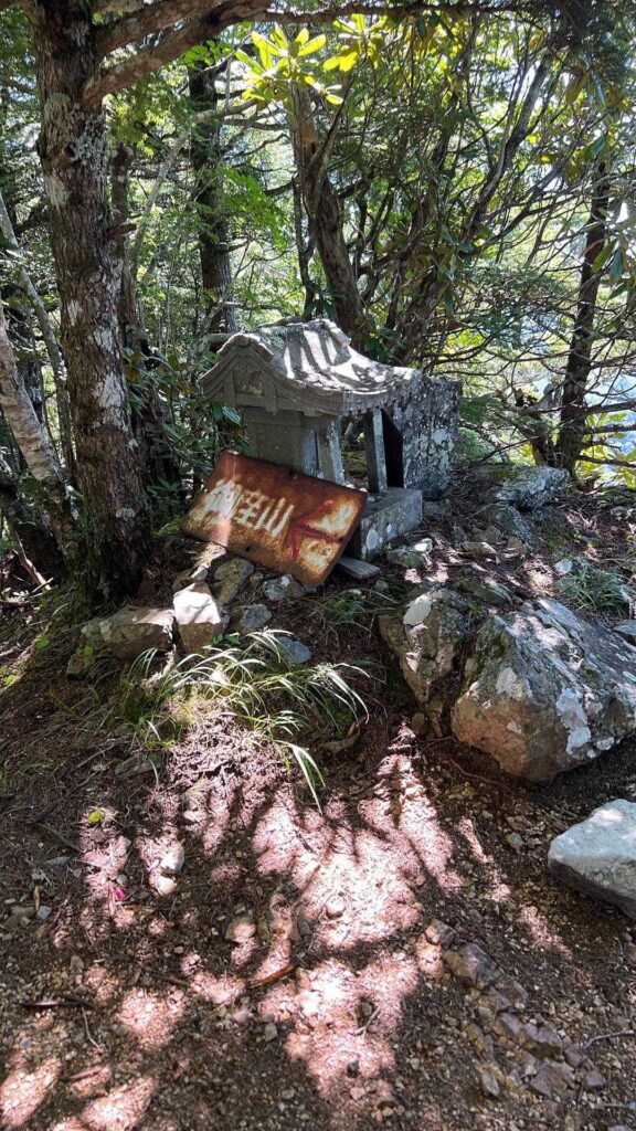 山頂かと思ったら違った🥲