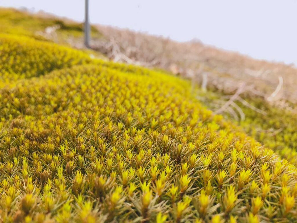 綺麗だなぁー😍