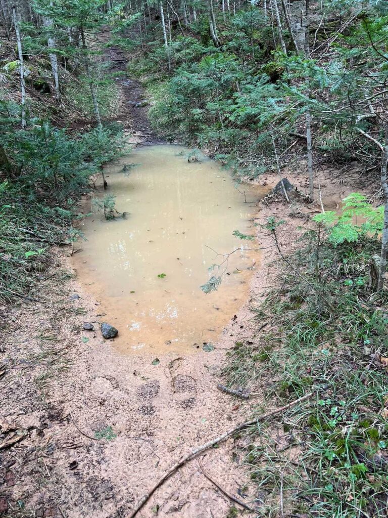 予想外の登山道