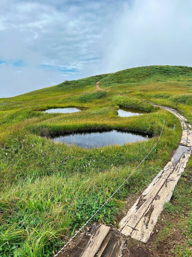 池塘が笑ゥせぇるすまんに見える