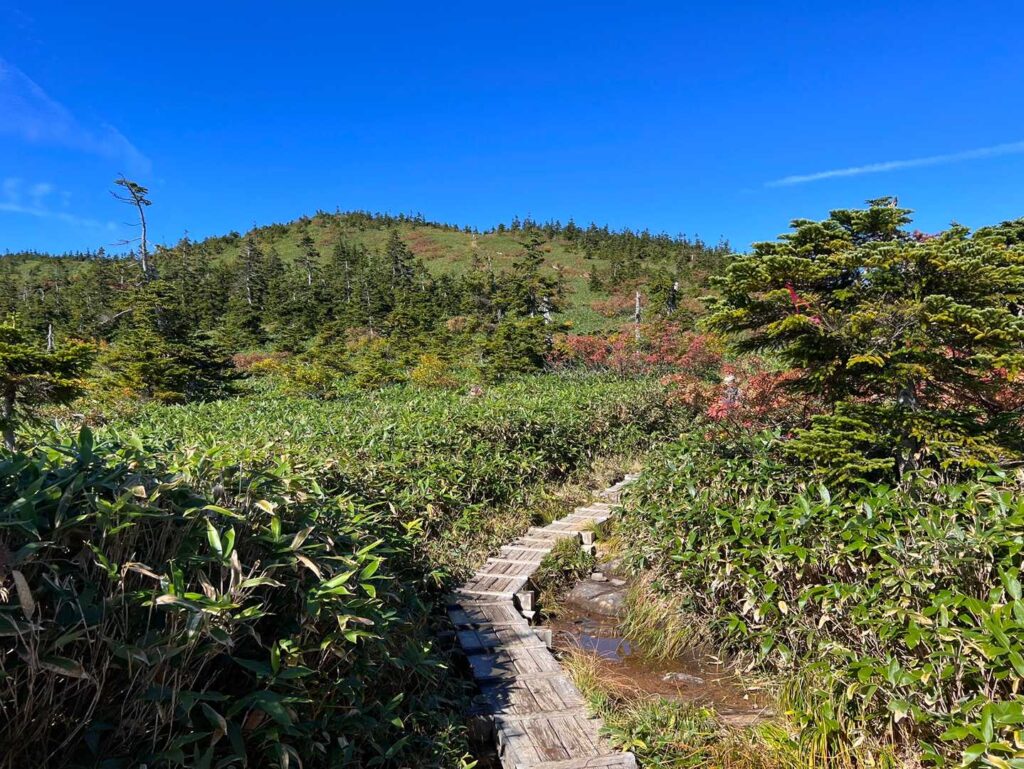 濡れた岩と木道を抜けて
