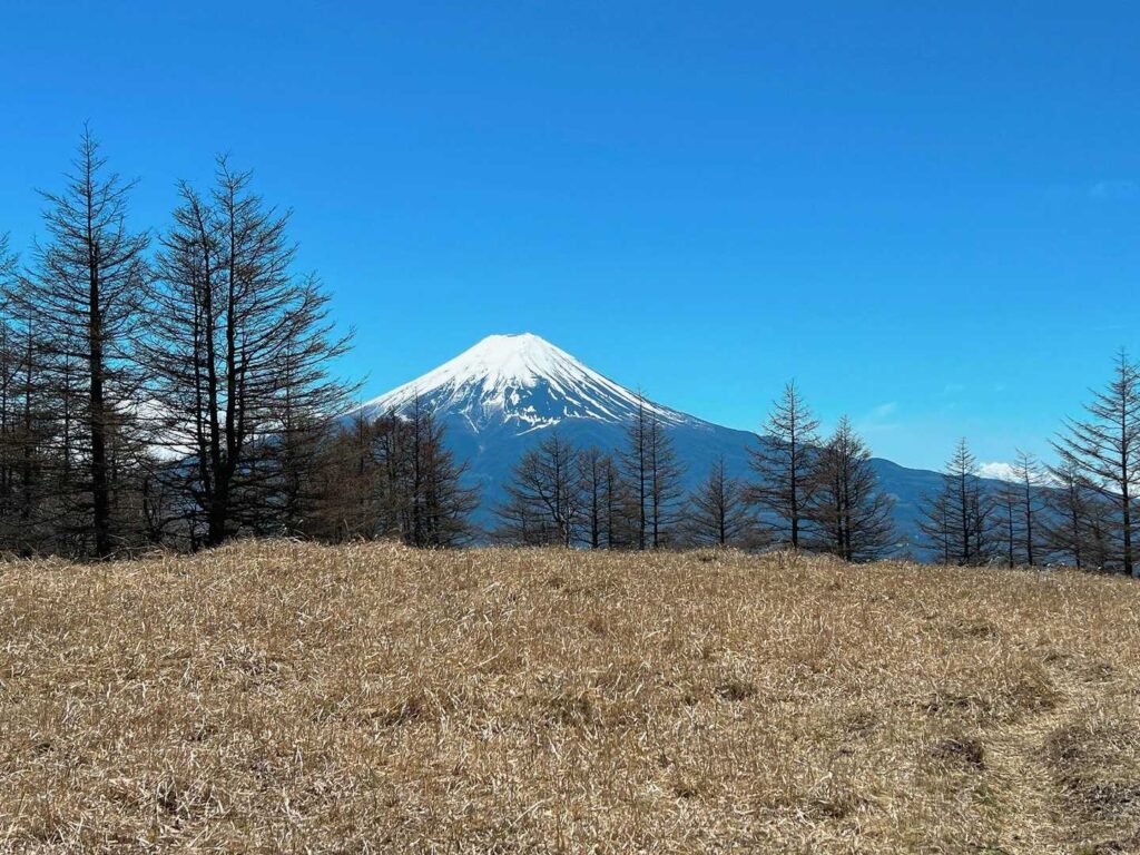 ここからも いい感じっす😊