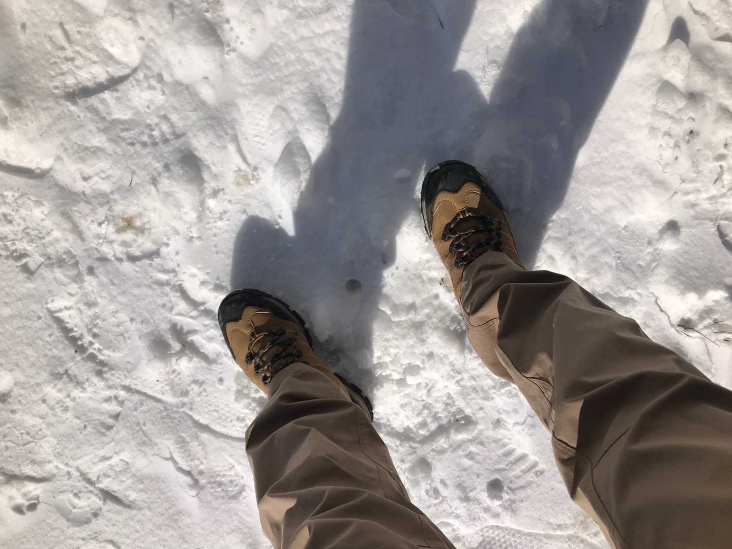 反対側は雪たっぷり、影が長い