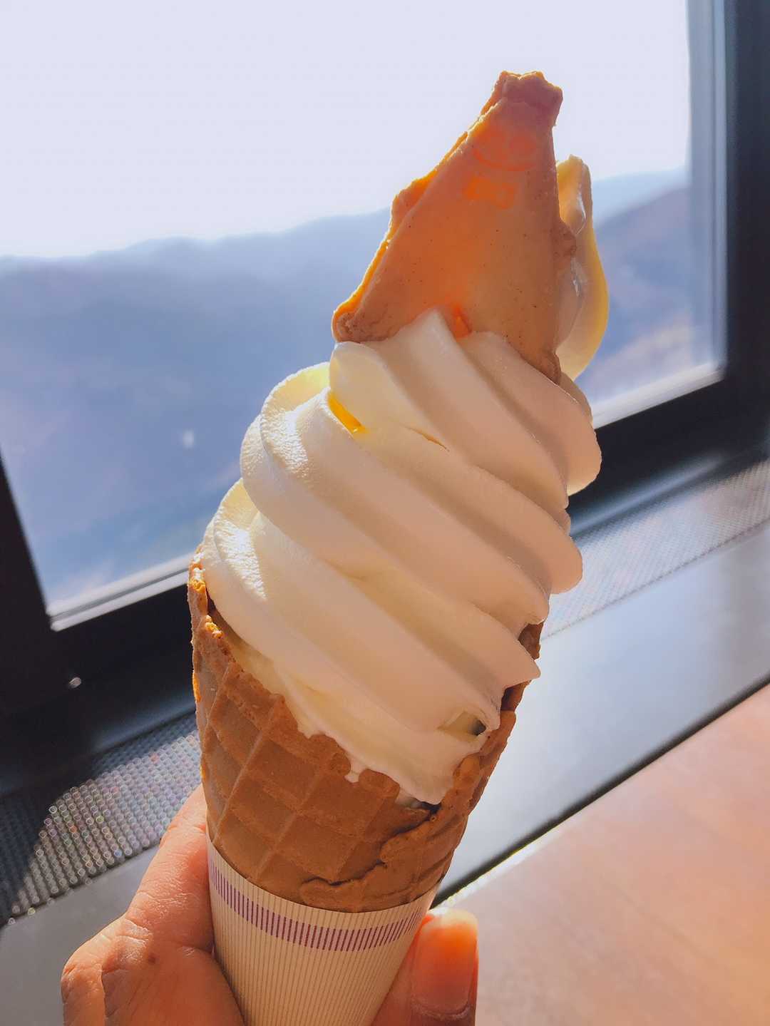 ソフトクリームも忘れずに