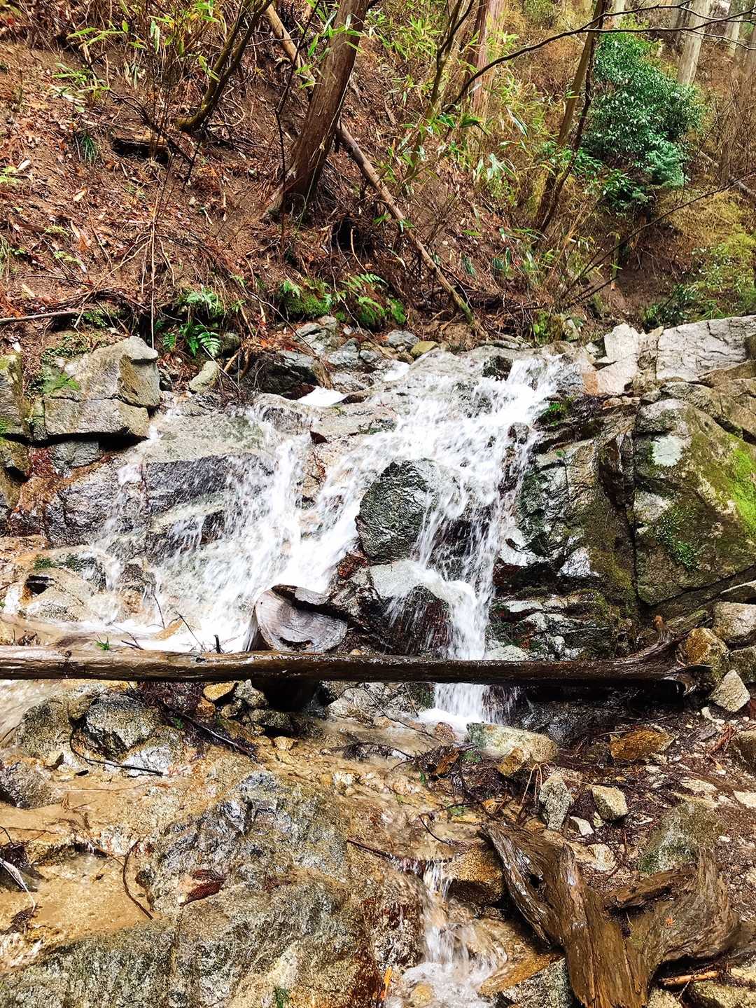 横に川が流れて 夏は涼しそう