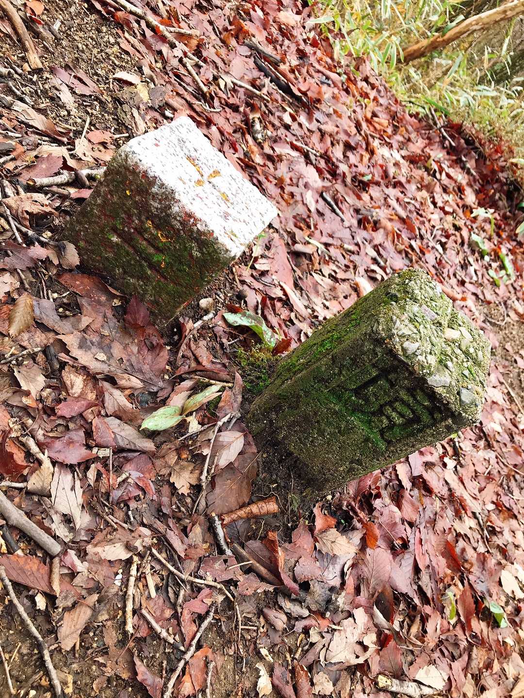 仲良く並んで 県境かなぁ
