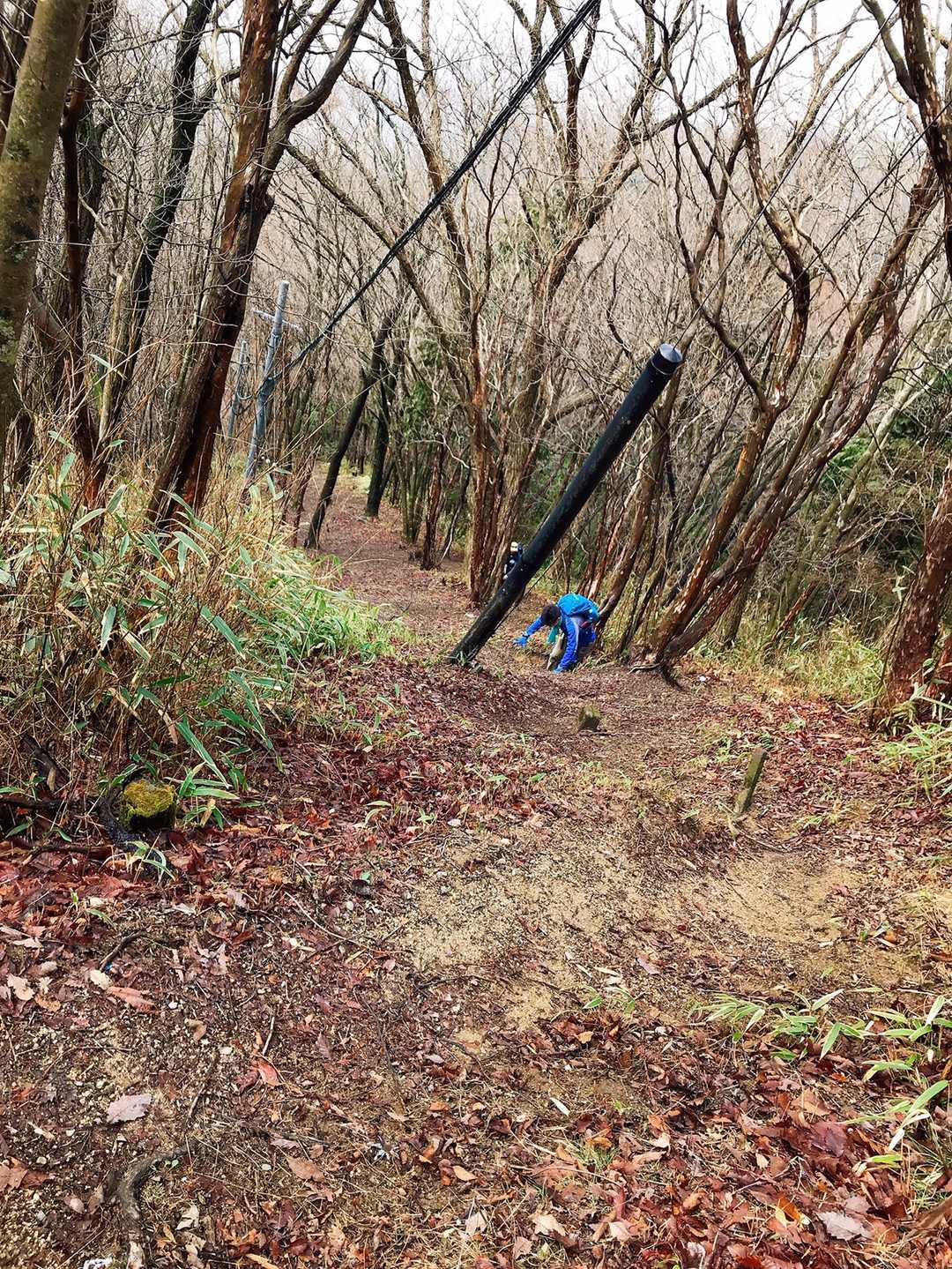 写真じゃわからないけど かなりの急勾配