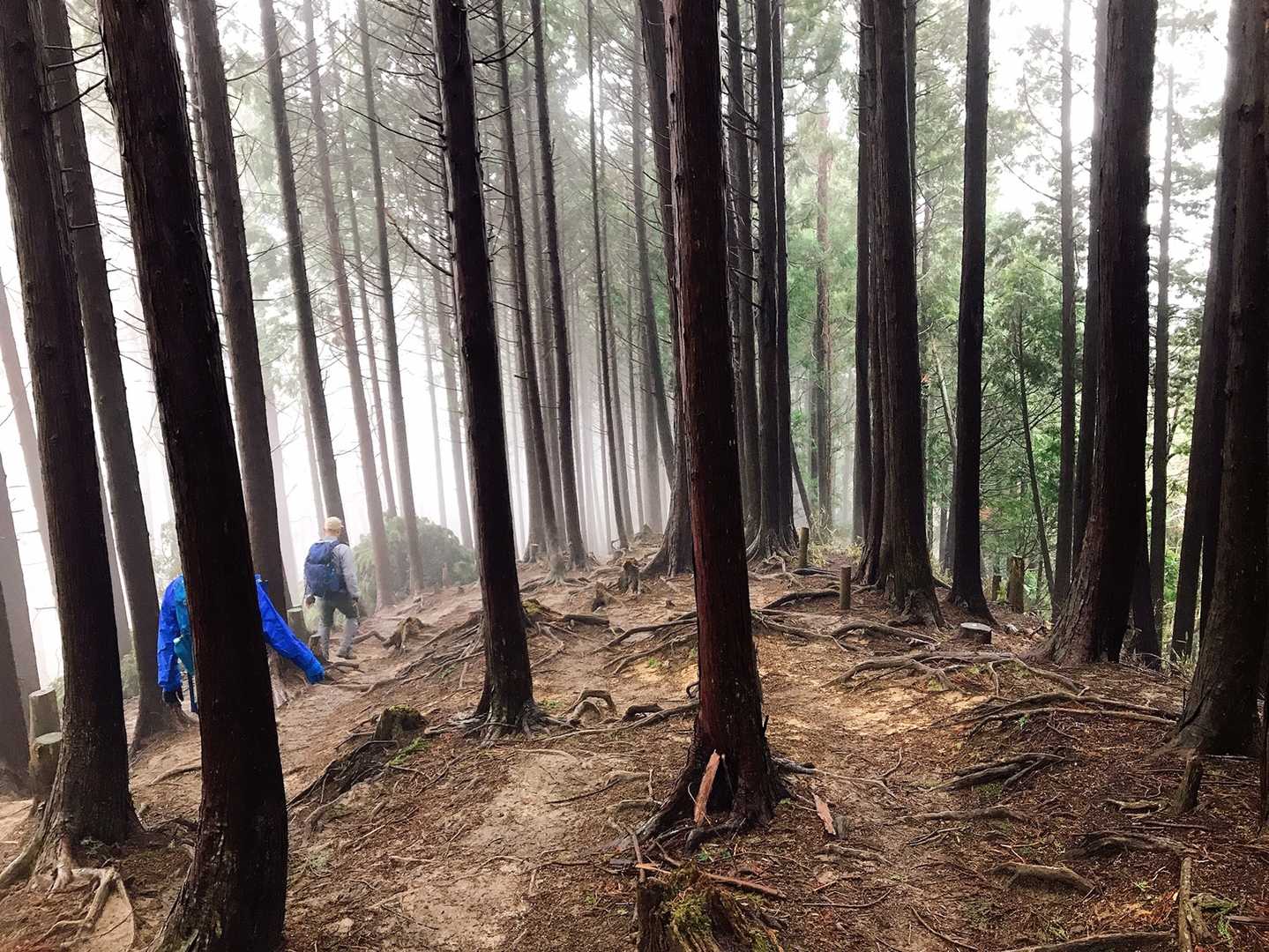 下山もガスってます