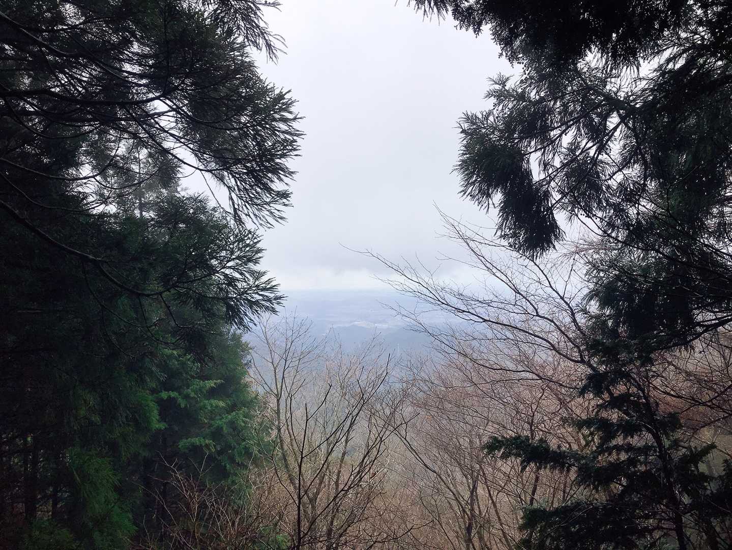 やっと少しははれて