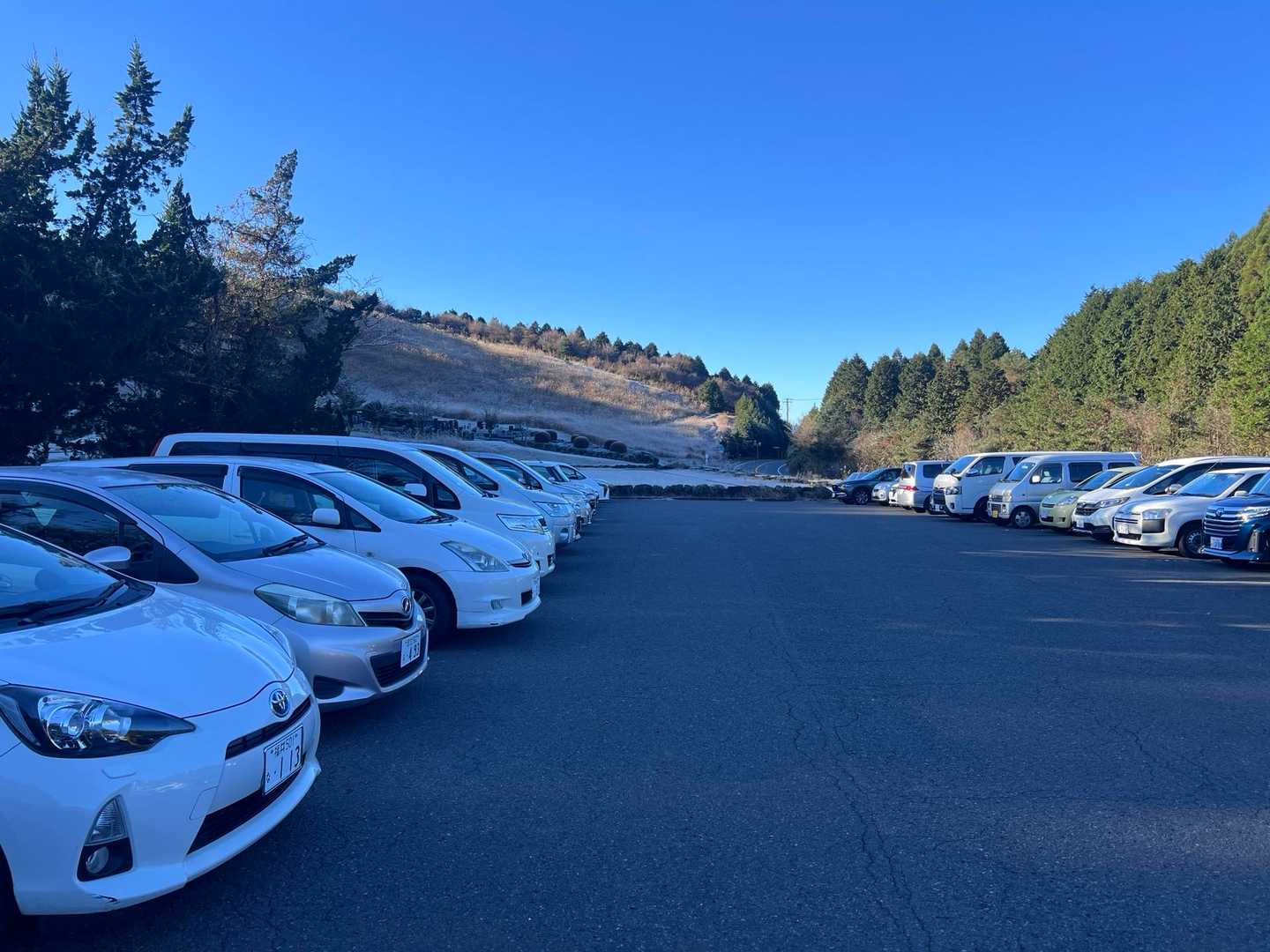 駐車場満車の様子