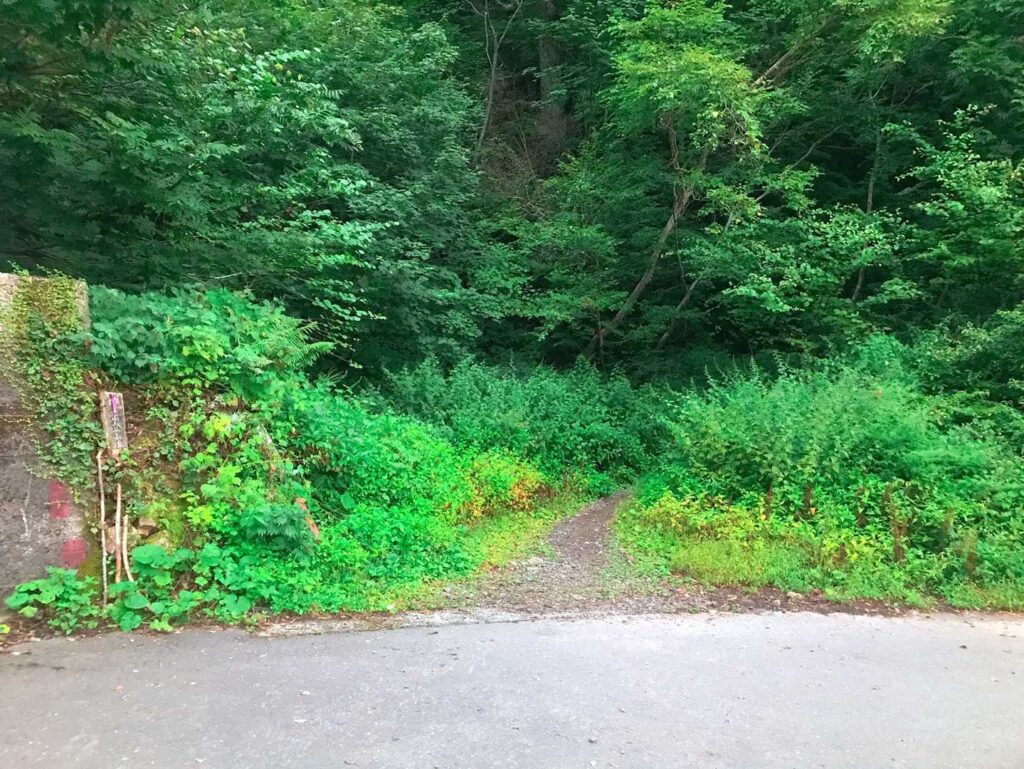 新中の湯登山口