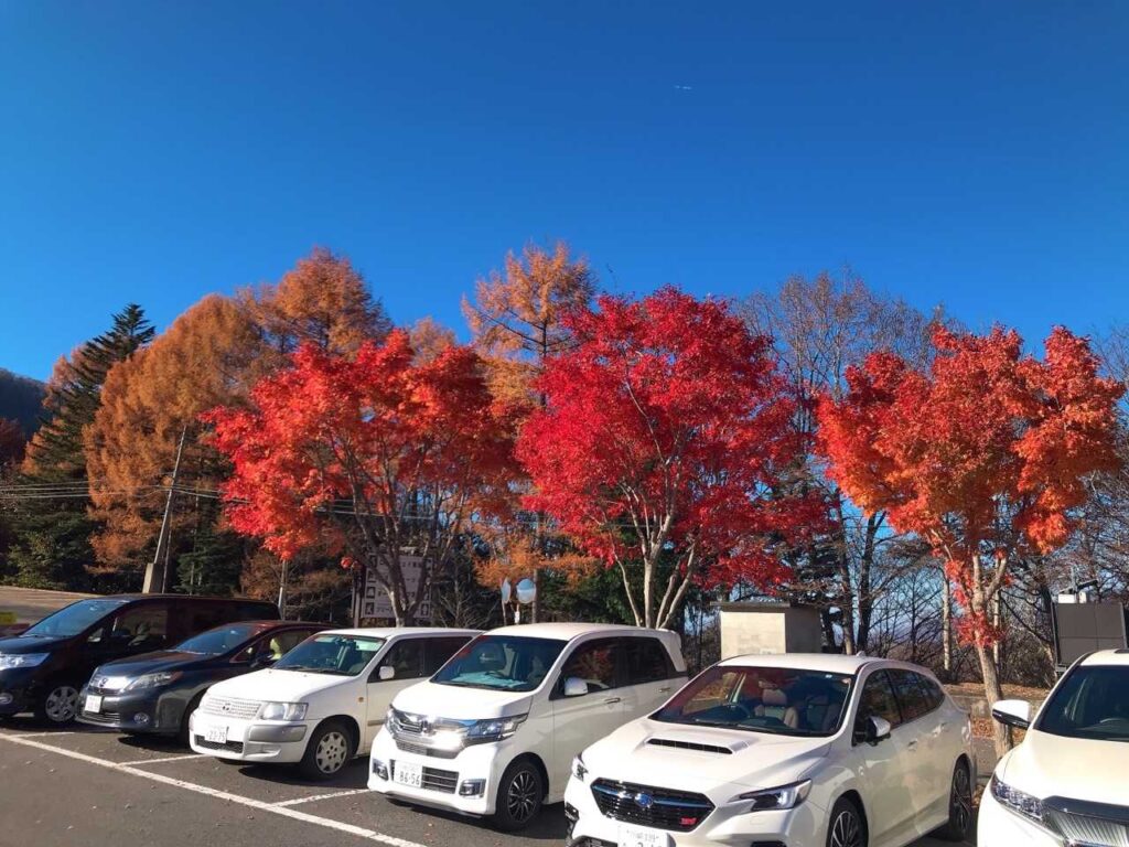駐車場周辺の紅葉