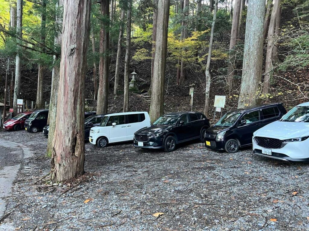 朝の駐車場の様子